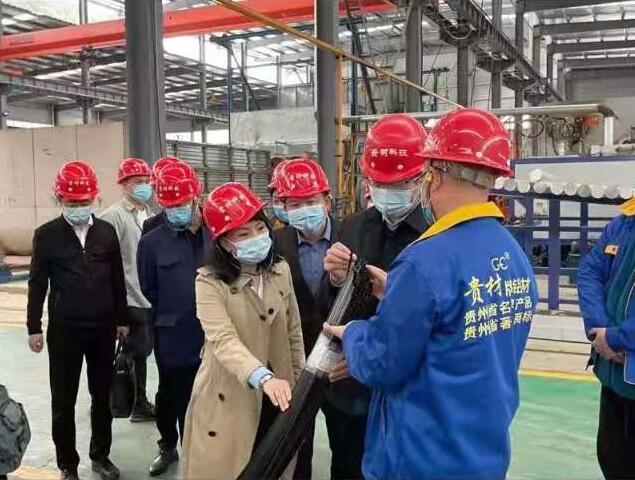 貴陽市常委、市工商聯、廣東總商會一行到我廠調研